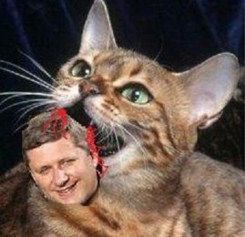 231035_10150752049435001_462610_n